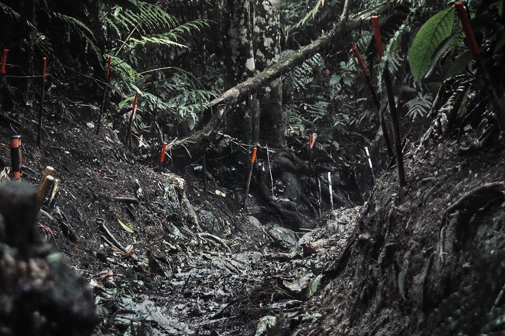 "Em profundidade - Campos Minados" - Colômbia, 2015, 7 impressões com pigmento sobre papel, 109 x 73 cm, cada, aquisição