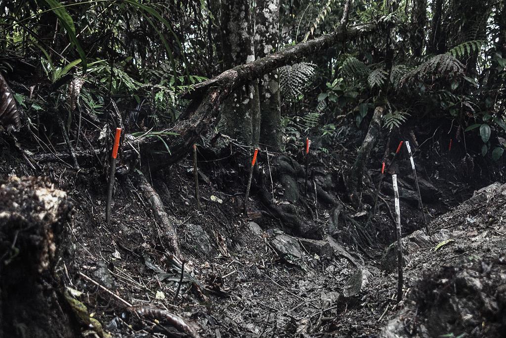 "Em profundidade - Campos Minados" - Colômbia, 2015, 7 impressões com pigmento sobre papel, 109 x 73 cm, cada, aquisição
