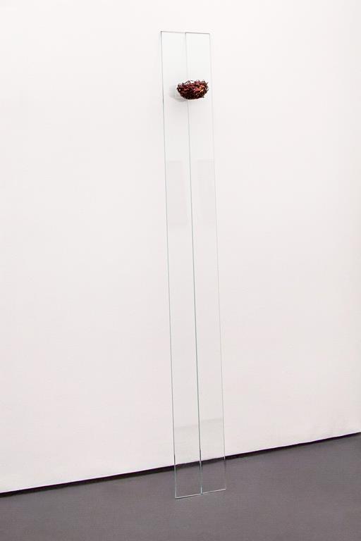 "Porninho", 2013, vidro e ninho de pássaro metalizado, 40x140 cm