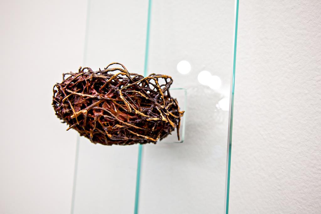 "Porninho (detalhe)", 2013, vidro e ninho de pássaro metalizado, 40x140 cm
