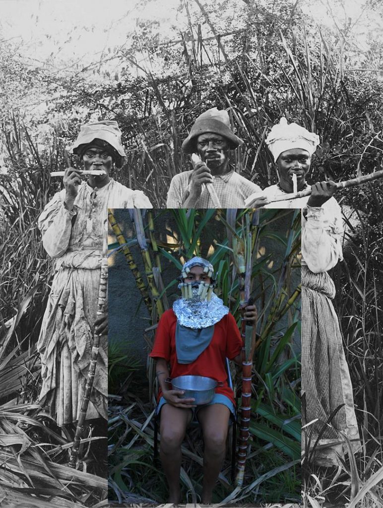 Sobreposição da Historia performer Ge Viana, plantação de cana no Jaca, Jardim Canada, MG, 2019