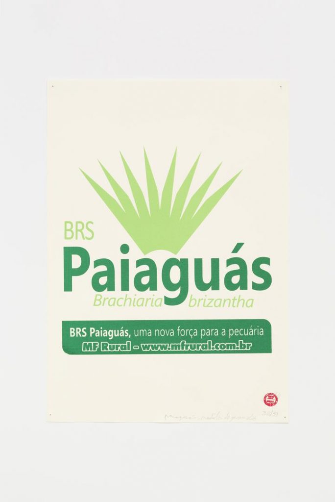 "Paiaguás", 2015-2016, silkscreen on paper, 42 x 29.7 cm